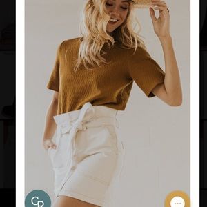 Free People paper bag skirt NWT